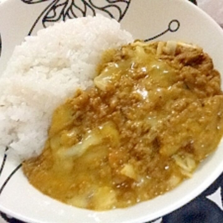 野菜の水分で甘味たっぷりひき肉カレー